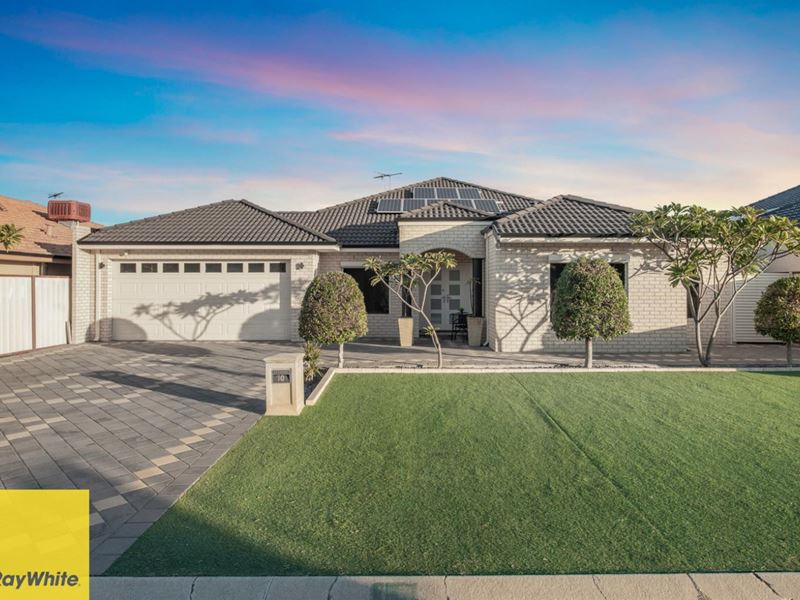 10 Cristata Terrace, Darch