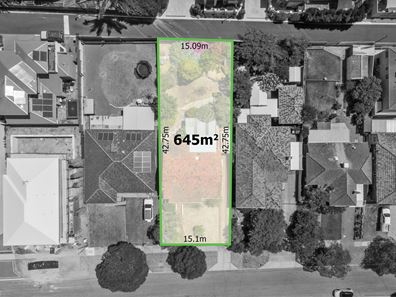 257 Holbeck Street, Doubleview WA 6018