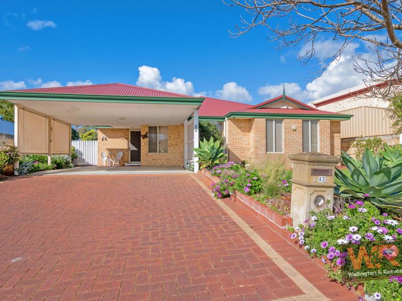 43 Chauncy Way, Spencer Park