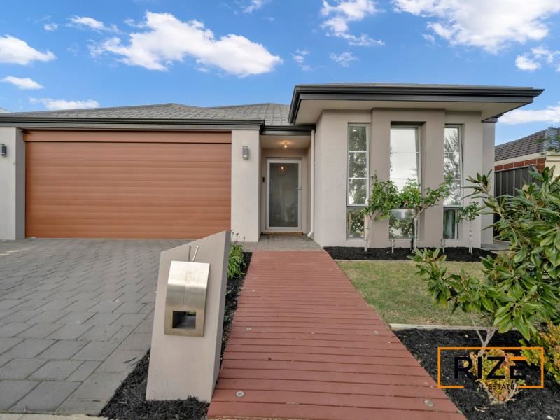 17 Chucklebud Street, Banksia Grove