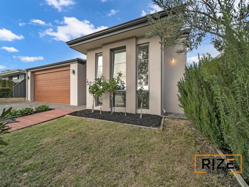 17 Chucklebud Street, Banksia Grove WA 6031