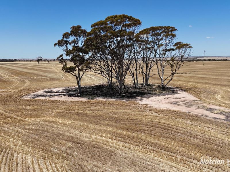 18984 Great Eastern Highway, South Doodlakine