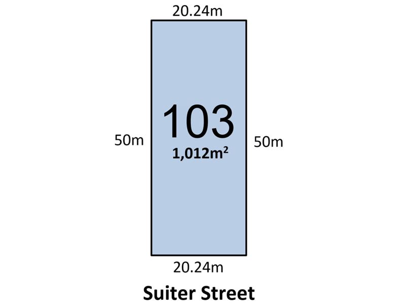 103 Suiter Street, Menzies WA 6436