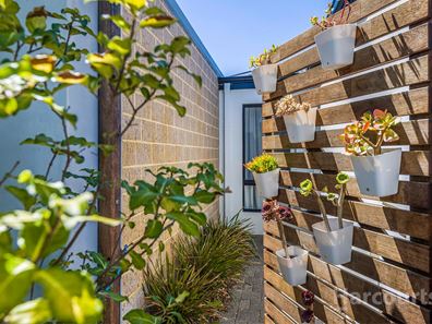 15 Antina Road, Banksia Grove WA 6031
