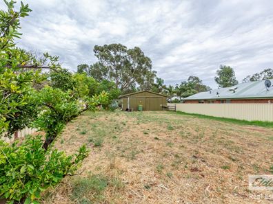 13 Arthur Street, Toodyay WA 6566