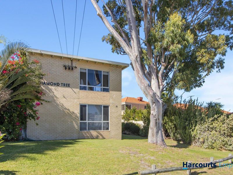 76 Deanmore Road, Scarborough