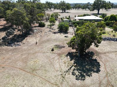 Dearle Road, Kojonup WA 6395