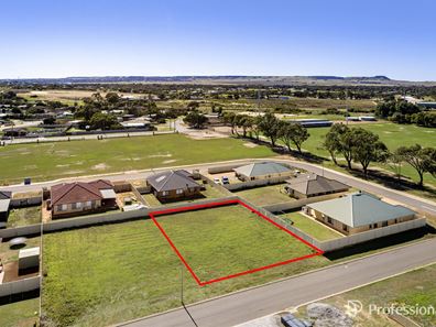 9 Brockagh Drive, Utakarra WA 6530