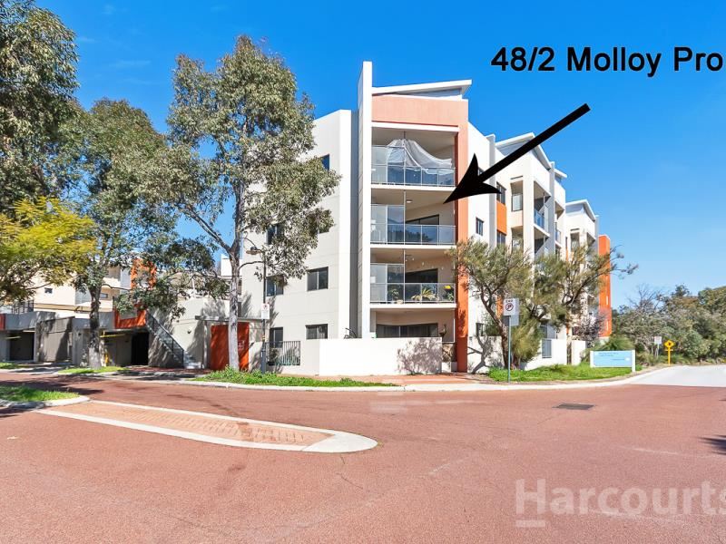 48/2 Molloy Promenade, Joondalup WA 6027