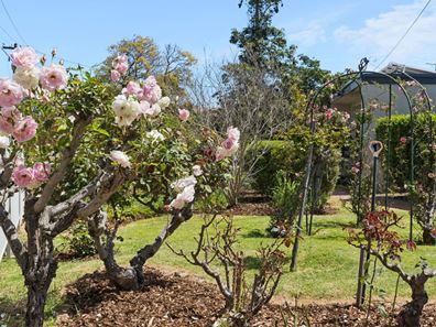 7 Sharyn Road, Walliston WA 6076