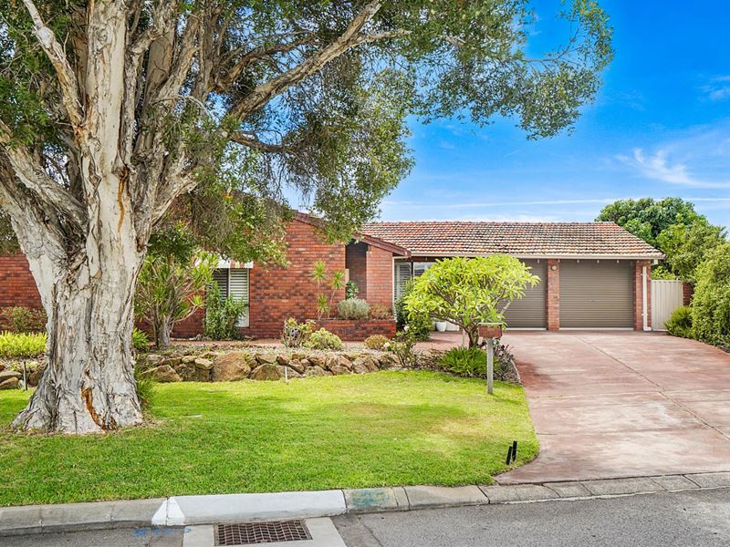 23 Weeroo Place, Stirling WA 6021