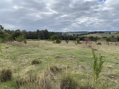Lot 74 Donnybrook-Boyup Brook Road, Beelerup WA 6239