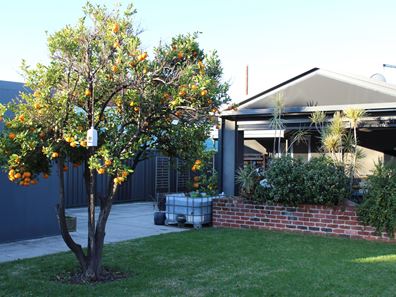 97 Second Avenue, Bassendean WA 6054