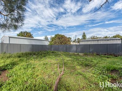 20 Littleton Street, Falcon WA 6210