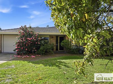 25 Hovea Court, Morley WA 6062