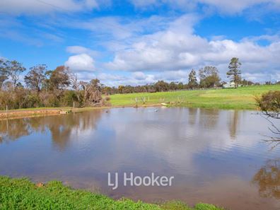 498 Carbunup Road South, Treeton WA 6284