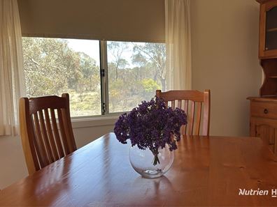 2 McDougall Street, Tincurrin WA 6361