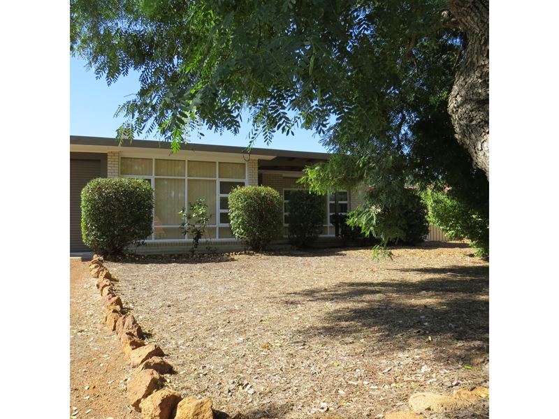 4 McNess Road, Kalamunda WA 6076