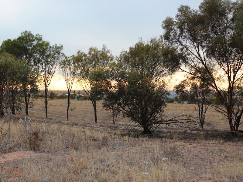 14 (Lot 813) Hewett St, Wongan Hills