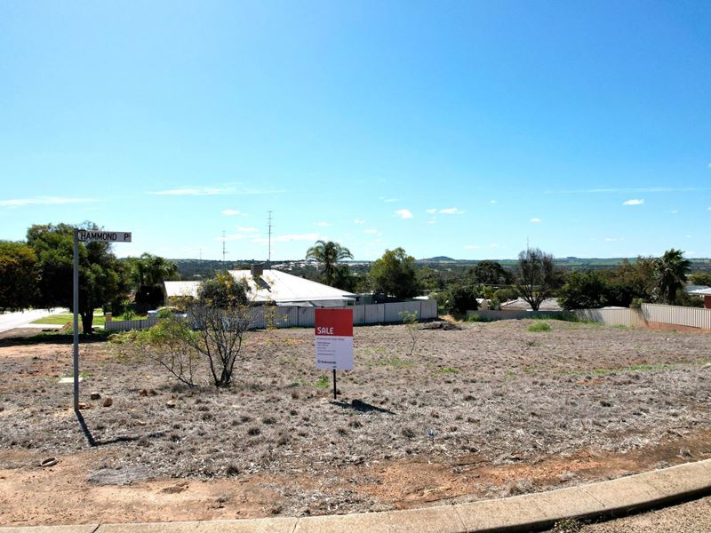 2 Hammond Place, Northam
