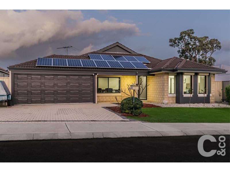 8 Wincanton Chase, Leda