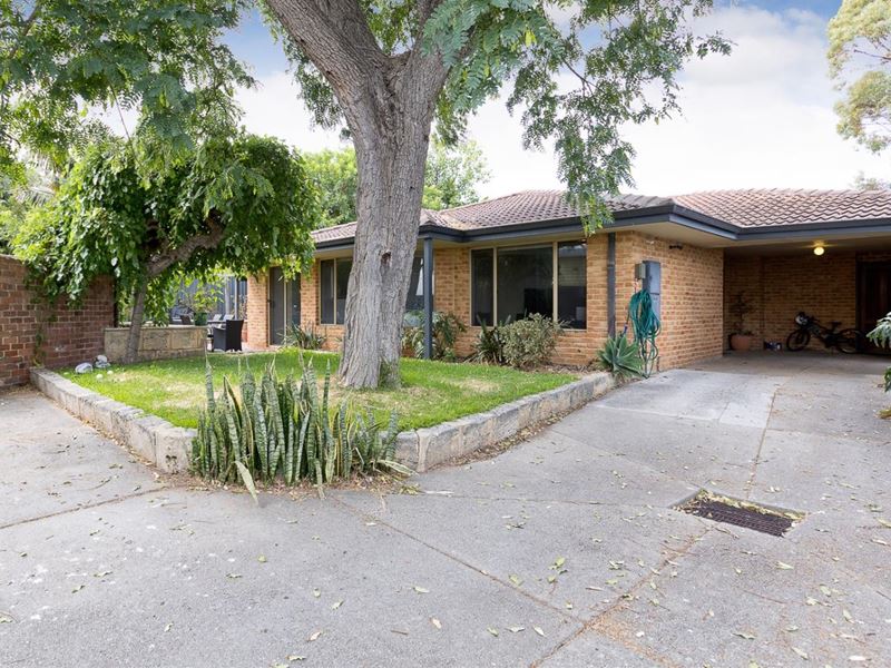 104 Zenobia Street, Palmyra