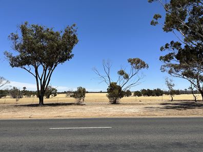 Lot 4, 31 Moojebing Road, Katanning WA 6317