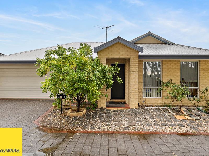 7 Chelsea Mews, Canning Vale WA 6155