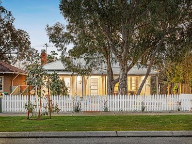 155 Herbert Street, Doubleview WA 6018