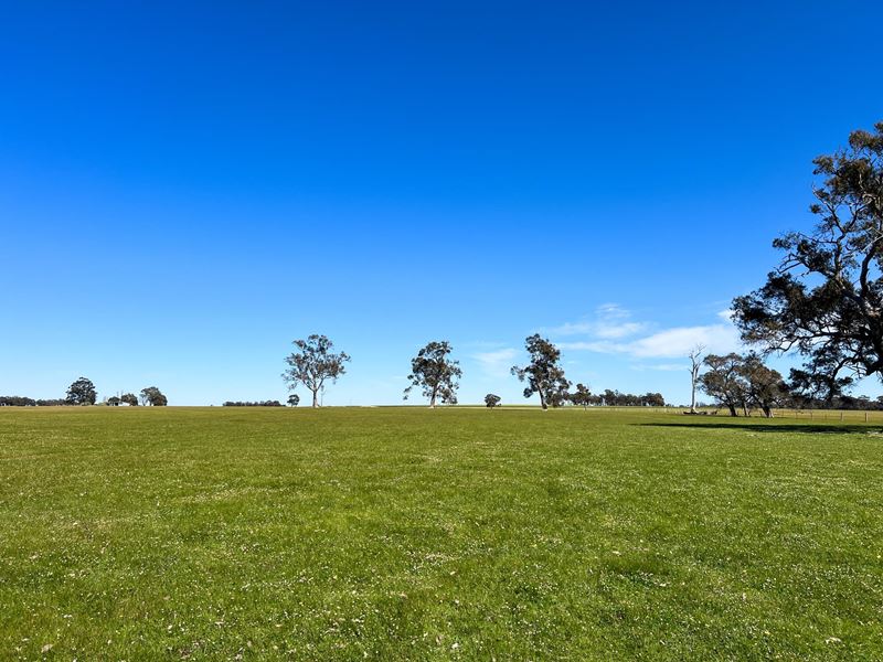 353 Frankland-Cranbrook Road, Frankland River