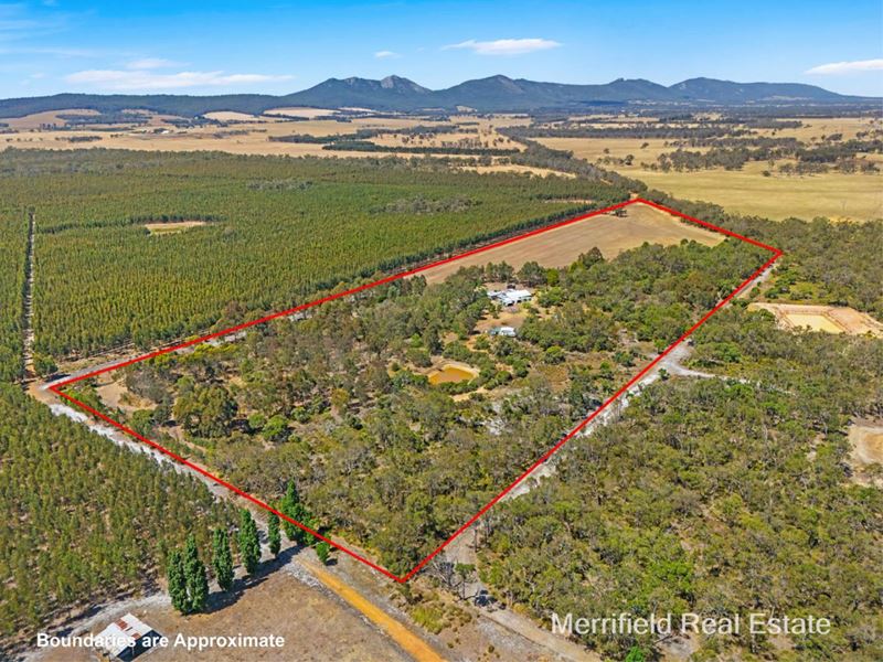 42 Greenhills Road, Narrikup WA 6326