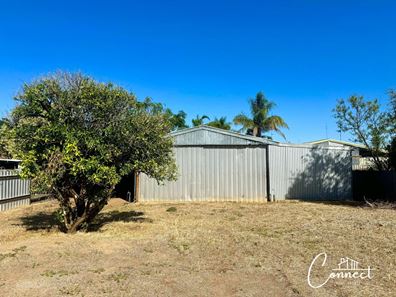 59 Forrest Street, Northam WA 6401