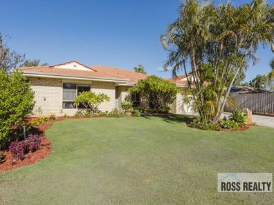 6 Woodpine Court, Ballajura WA 6066