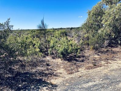 197 Seaview Drive, Karakin WA 6044