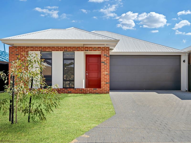 16 Nectarine Street, Upper Swan WA 6069