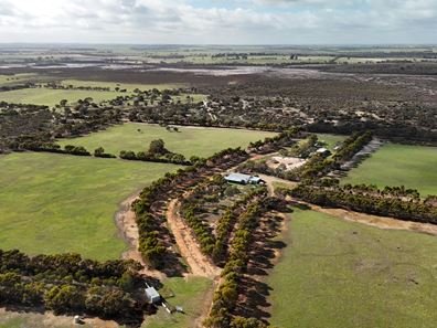 8827 Wallis Road, Katanning WA 6317
