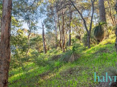 54 Stone Crescent, Darlington WA 6070