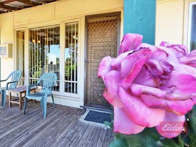 15 Lock Street, Narrogin WA 6312