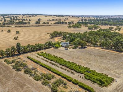 89 Vine Cottage Lane, Dandaragan WA 6507