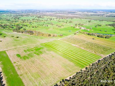 1770 Beermullah Road West, Gingin WA 6503