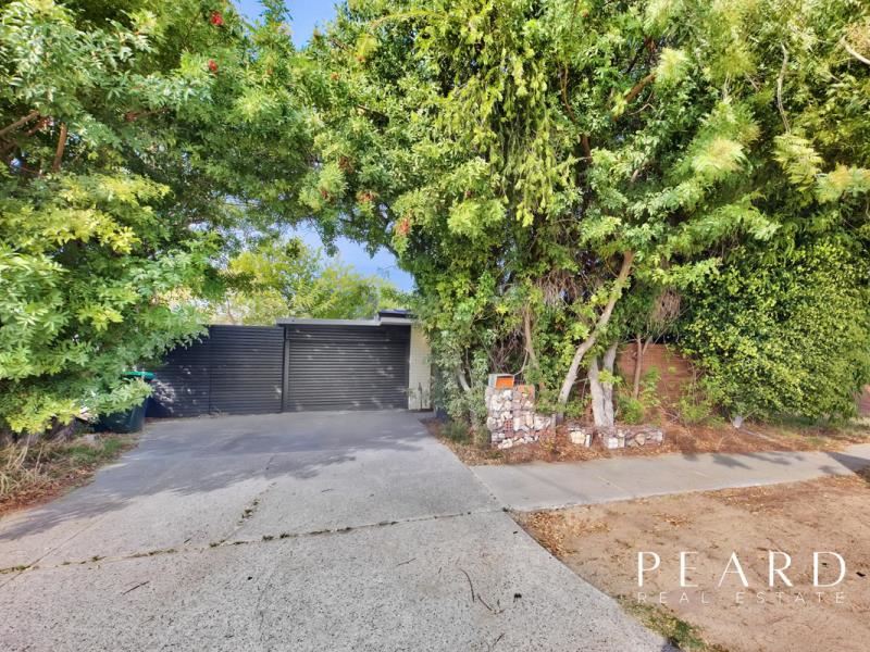 3B Spinaway Street, Craigie