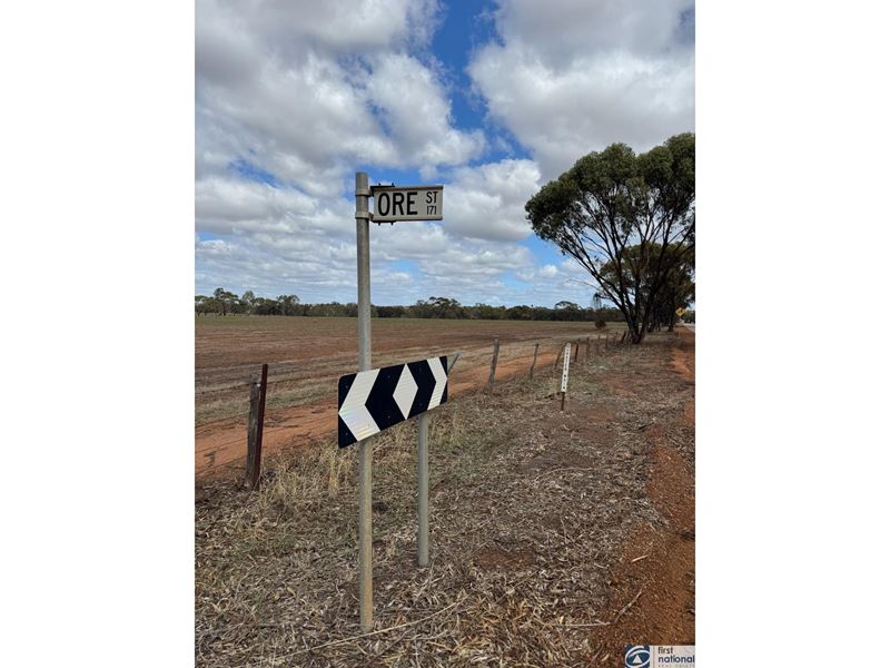 11 Ore Street, Muluckine WA 6401