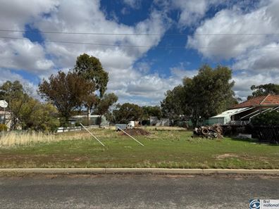 11 Ore Street, Muluckine WA 6401