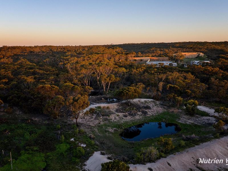 4645 Hopetoun-Ravensthorpe Road, Ravensthorpe WA 6346