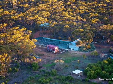 4645 Hopetoun-Ravensthorpe Road, Ravensthorpe WA 6346
