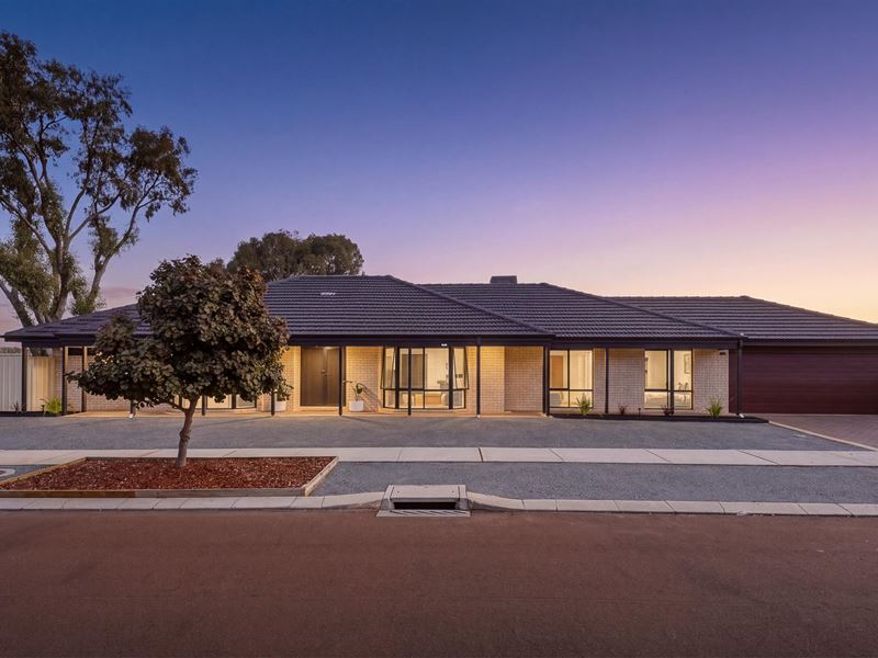 12 McGolgan Green, Baldivis WA 6171