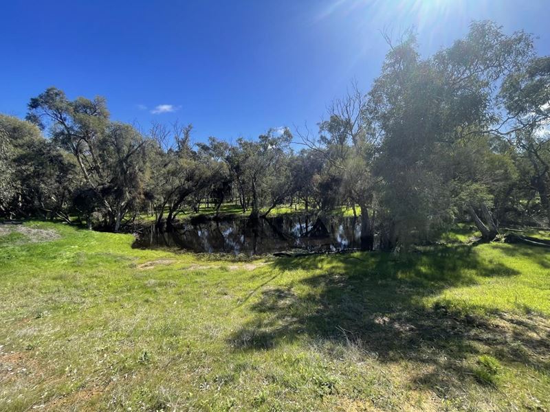 254 Springhill Road, Hill River WA 6521