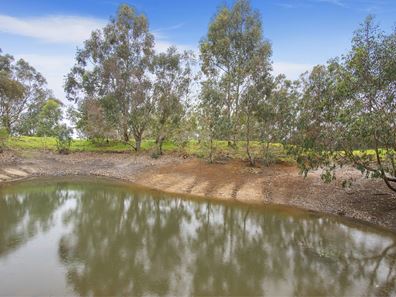 27 Ridgeway Drive, Quedjinup WA 6281