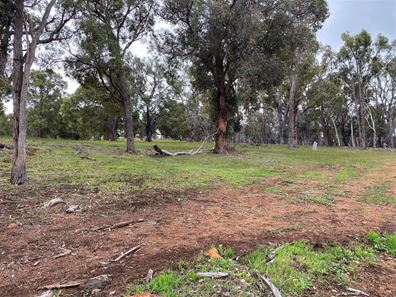 Lot 8 Forrest Street, Boddington WA 6390