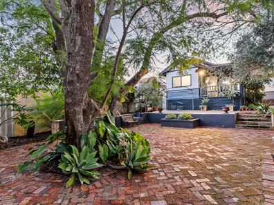 184 Holbeck Street, Doubleview WA 6018